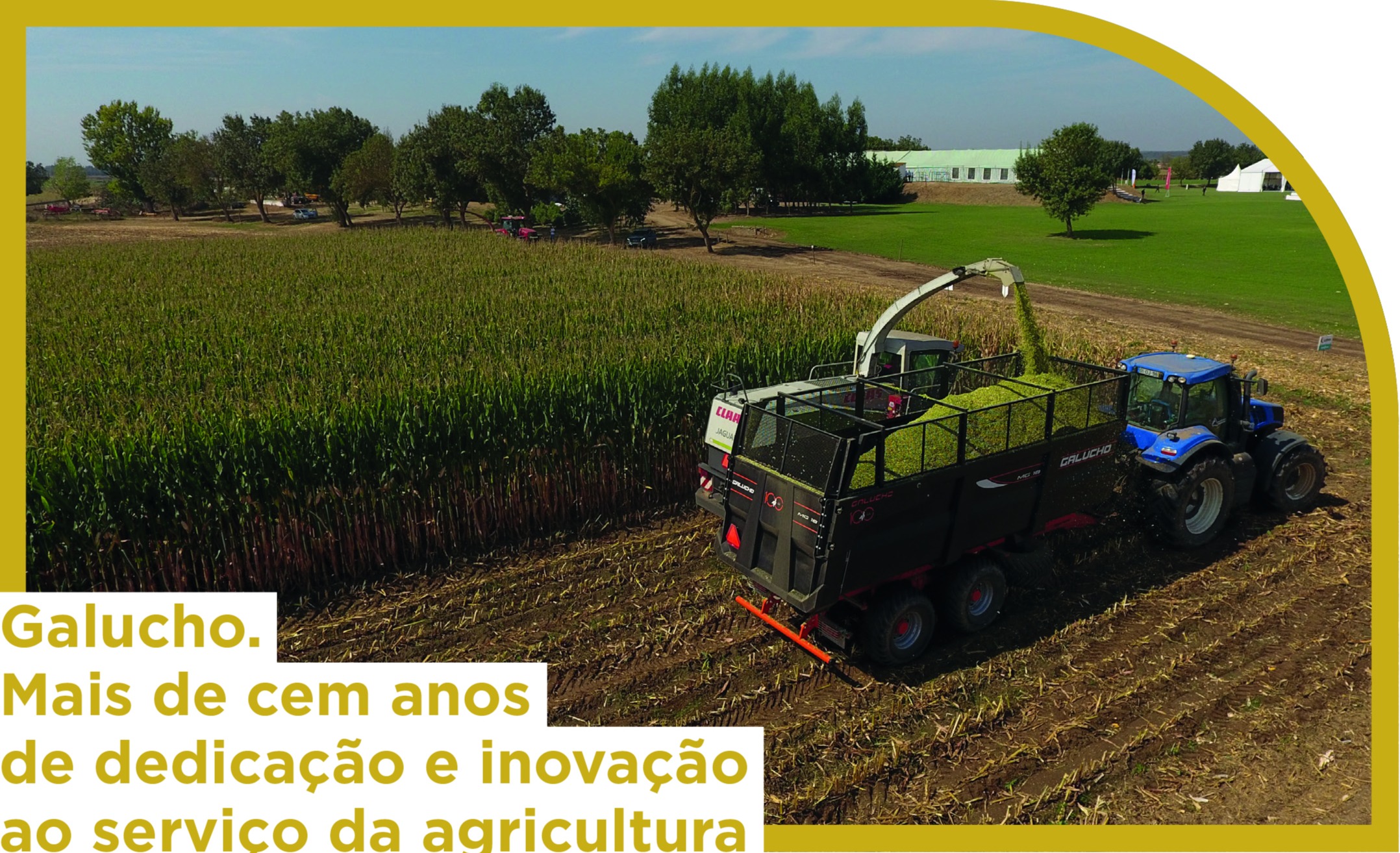 Galucho est présent dans le numéro 297 du magazine Voz do Campo